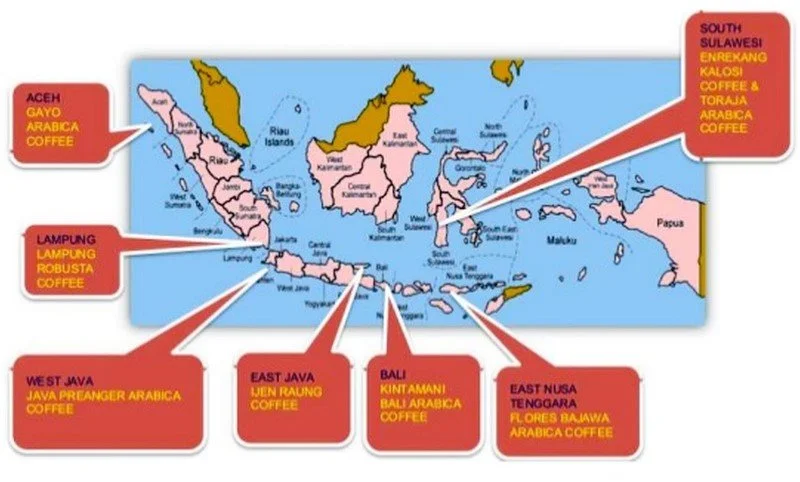 indonesian-specialty-coffee-goes-global-15-638.jpg?type=w1200