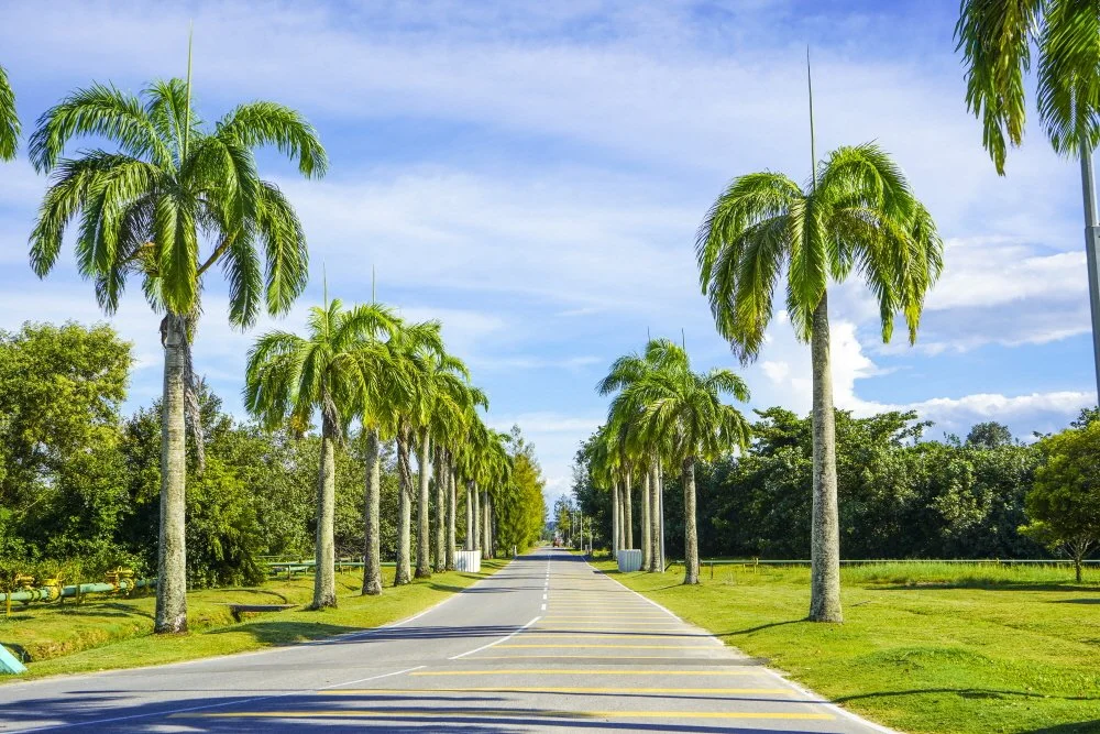 %EC%95%88%EB%91%90%ED%82%A4_%ED%98%B8%EC%88%98_%EA%B0%80%EB%8A%94_%EA%B8%B8.JPG?type=w1200