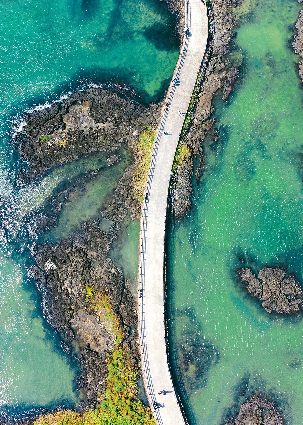 %EC%8B%B1%EA%B3%84%EB%AC%BC%EA%B3%B5%EC%9B%90.jpg?type=w1200