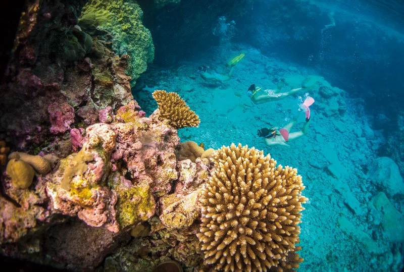 %EB%A9%94%EC%9D%B8.jpg?type=w1200