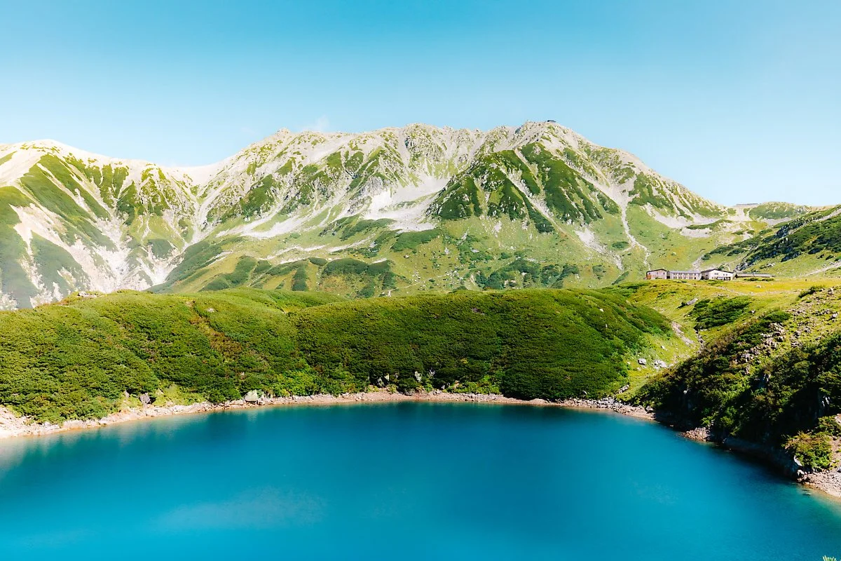 %EC%95%8C%ED%8E%9C%EB%A3%A8%ED%8A%B8-24.jpg?type=w1200