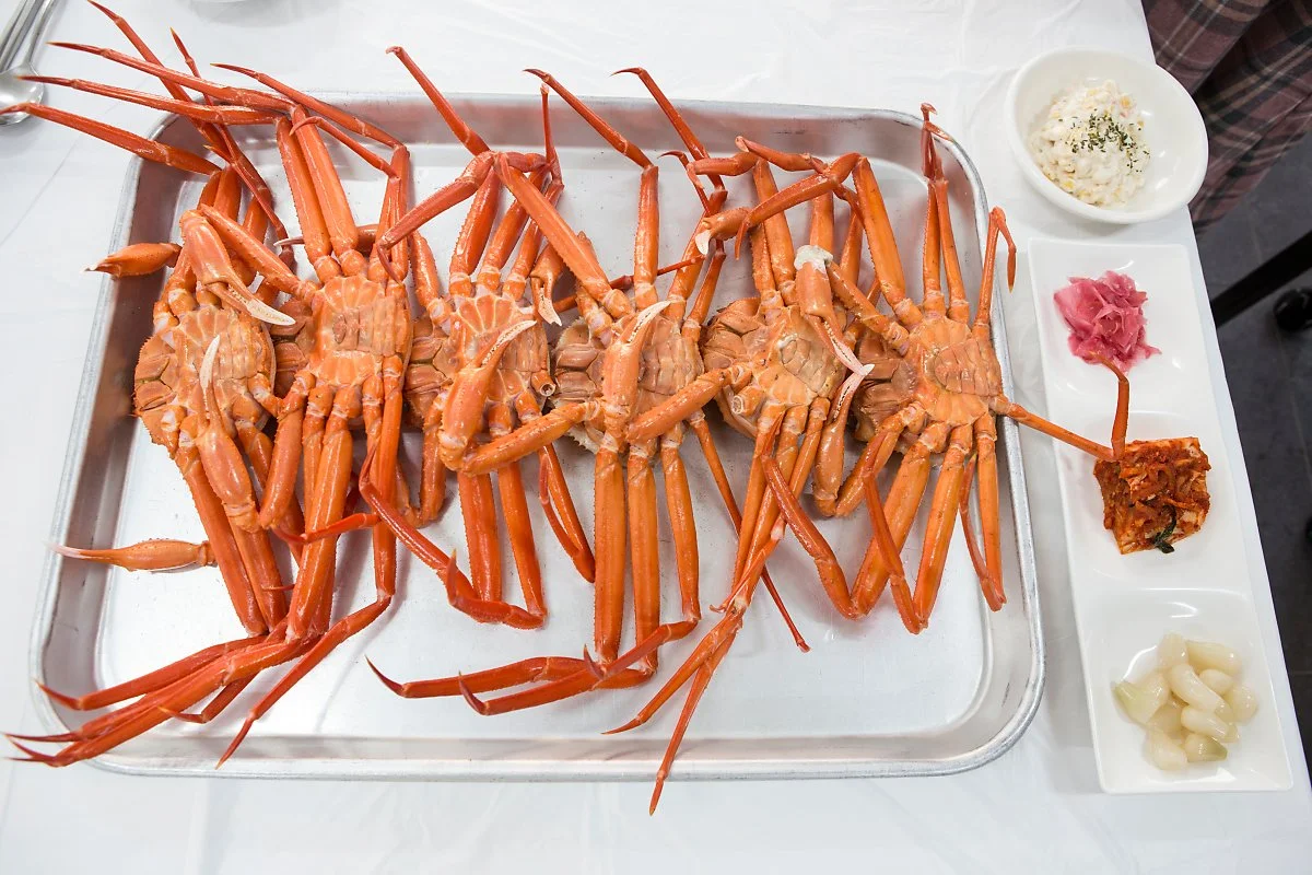 %EB%AF%B8%EC%8A%A4%ED%84%B0%ED%99%8D%EA%B2%8C_%281%29.JPG?type=w1200