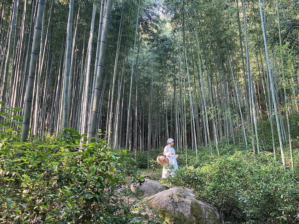 %EB%82%A8%EB%8F%84_%EB%81%9D%EC%9E%90%EB%9D%BD_%EC%B9%98%EC%9C%A0%EC%9D%98_%EC%B0%A8_%EC%97%AC%ED%96%89.jpeg?type=w1200