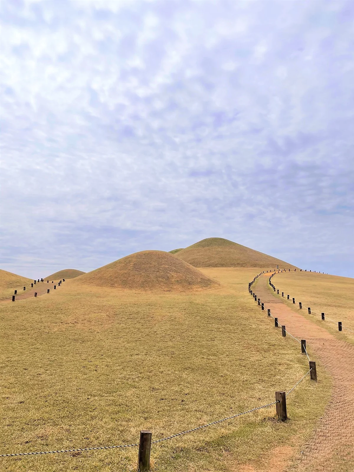 %EA%B3%A0%EC%84%B1%EC%86%A1%ED%95%99%EB%8F%99%EA%B3%A0%EB%B6%84%EA%B5%B0_%282%29.jpg?type=w1200