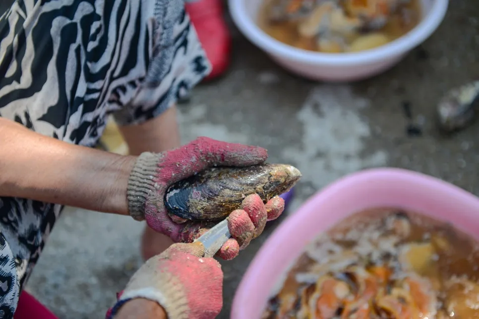 %ED%95%B4%EB%85%80%EB%93%A4%EC%9D%98_%ED%99%8D%ED%95%A9%EC%9E%91%EC%97%85_(2).jpg?type=w966