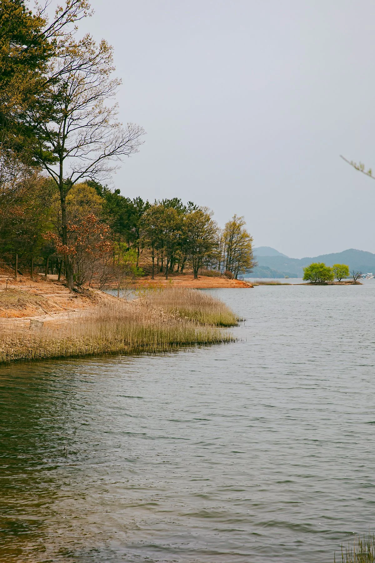 %EF%80%88d_%EB%8C%80%EC%B2%AD%ED%98%B8%EC%98%A4%EB%B0%B1%EB%A6%AC%EA%B8%B84%EA%B5%AC%EA%B0%84%28%ED%98%B8%EB%B0%98%EB%82%AD%EB%A7%8C%EA%B8%B8%29_2.jpg?type=w1200