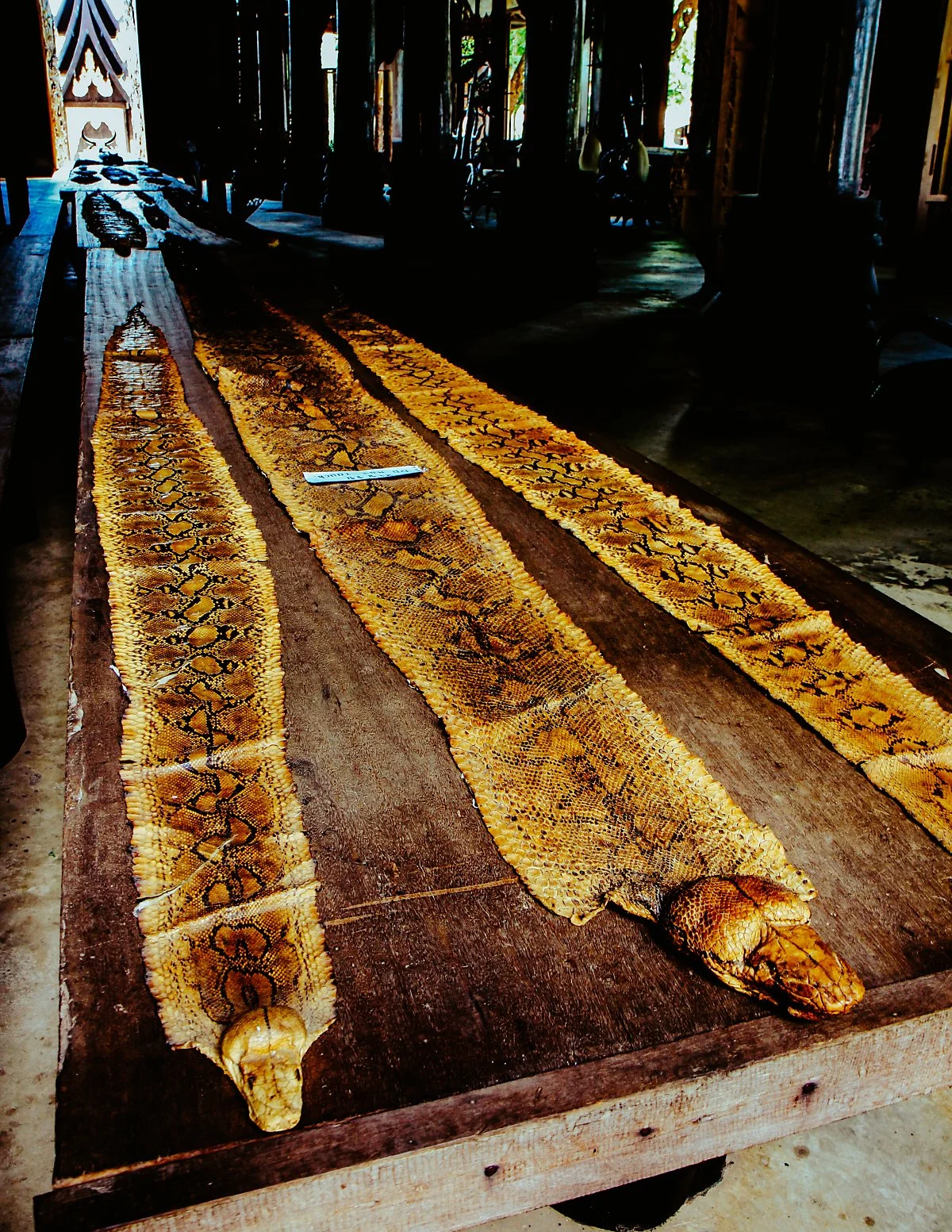 %EA%B2%80%EC%9D%80%EC%A7%91-2.jpg?type=w1200