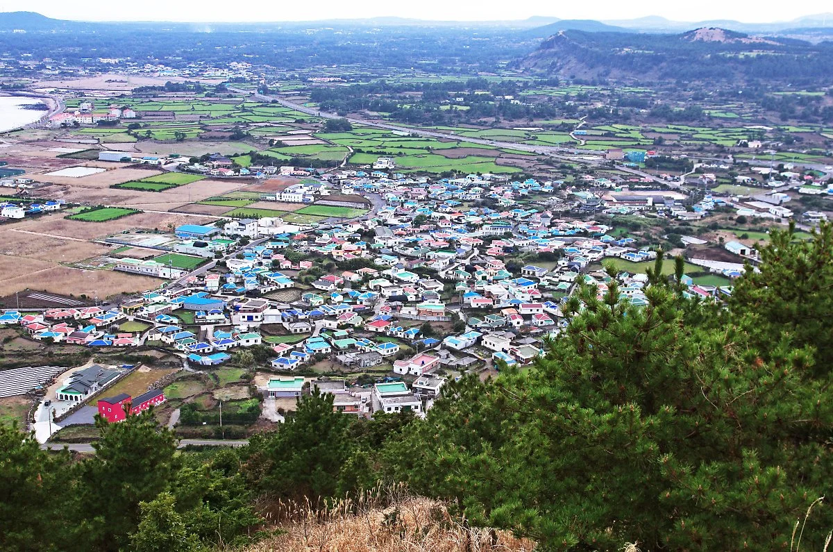 %EC%A7%80%EB%AF%B8%EB%B4%89%EC%97%90%EC%84%9C_%EB%B3%B8_%EC%A2%85%EB%8B%AC%EB%A6%AC_%EB%A7%88%EC%9D%84.JPG?type=w1200