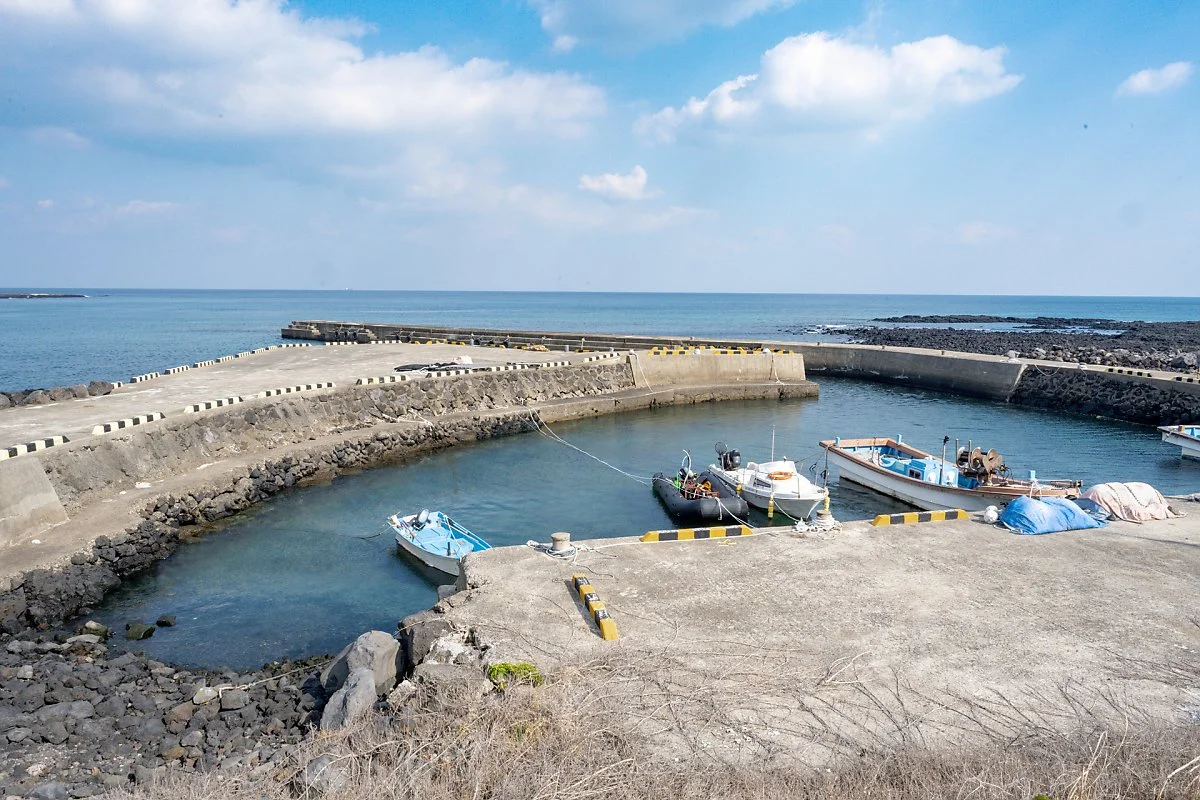 %EC%8B%A0%ED%92%8D%EB%A6%AC_%ED%8F%AC%EA%B5%AC.jpg?type=w1200