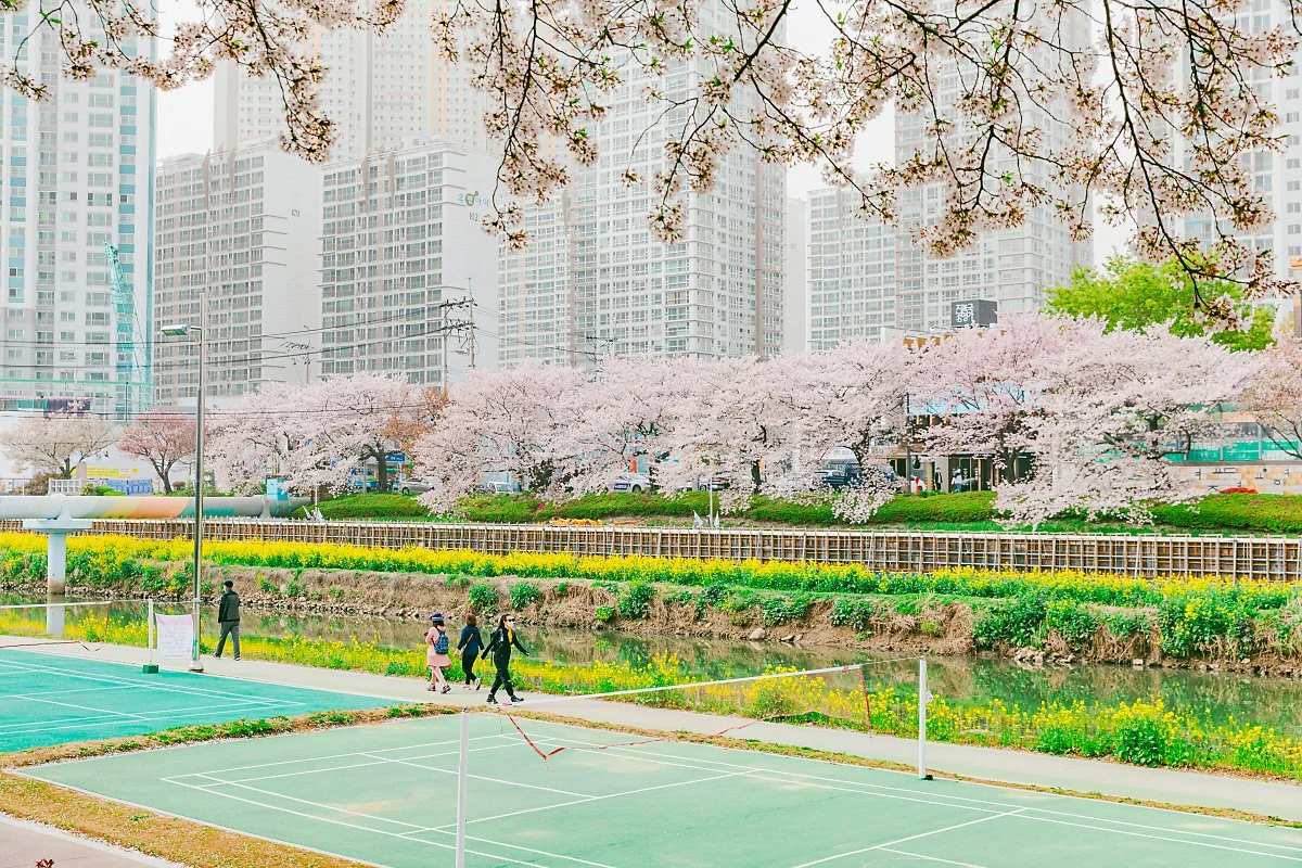 d_%EC%98%A8%EC%B2%9C%EC%B2%9C%EC%8B%9C%EB%AF%BC%EA%B3%B5%EC%9B%90_2.jpg?type=w1200