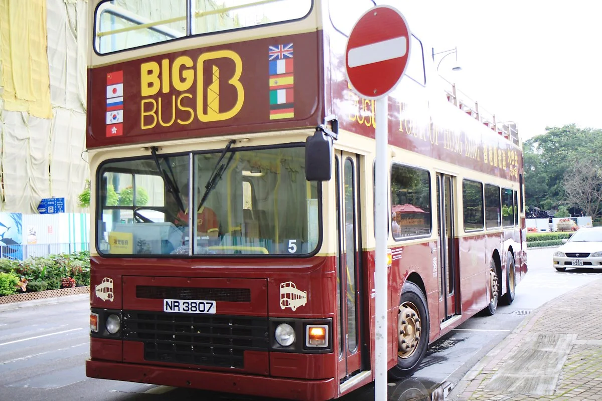 image_9955624031524053821184.jpg?type=w1200