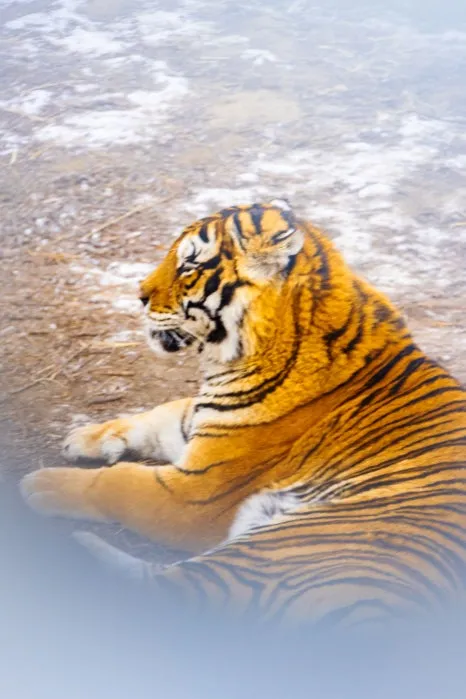 %EB%8F%99%EB%B6%81%ED%98%B8%EB%A6%BC%EC%9B%90_(13).jpg?type=w466