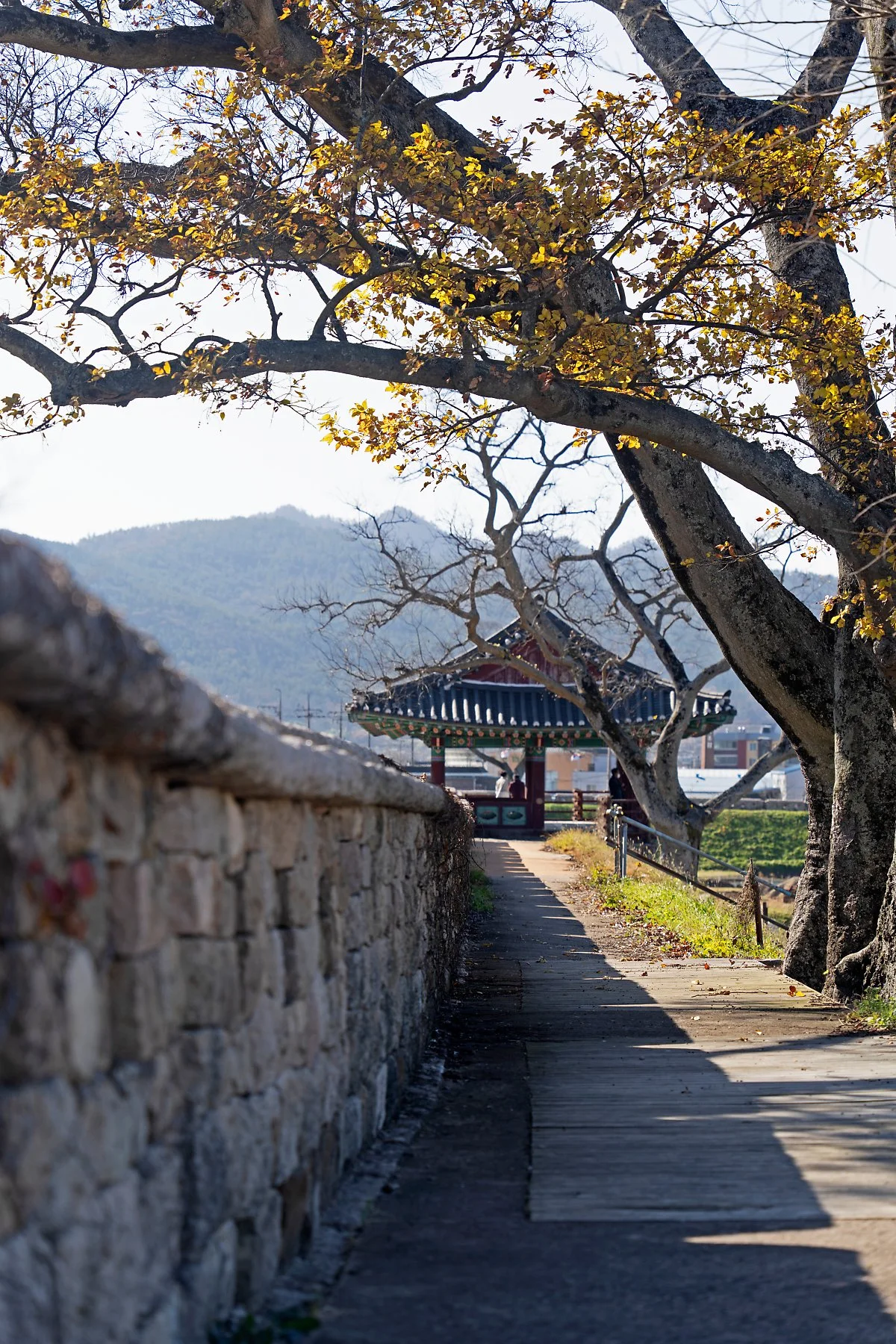 DSC03223.jpg?type=w1200