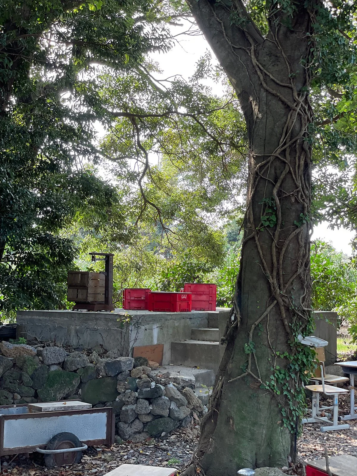 %ED%92%80%EB%B2%A0%EA%B0%9C_%283%29.jpg?type=w1200