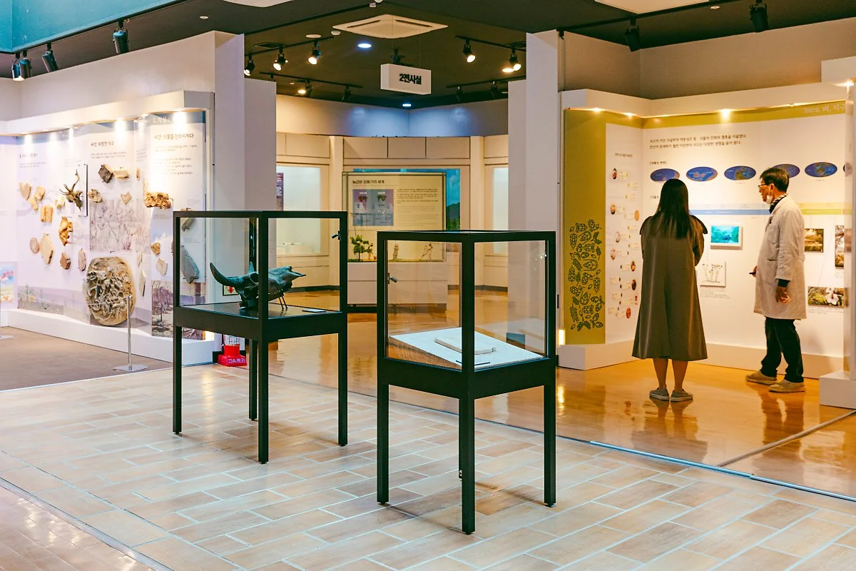 %EA%B3%A0%EC%96%91_%EA%B0%80%EC%99%80%EC%A7%80%EB%B3%8D%EC%94%A8%EB%B0%95%EB%AC%BC%EA%B4%80%282%29.jpg?type=w1200