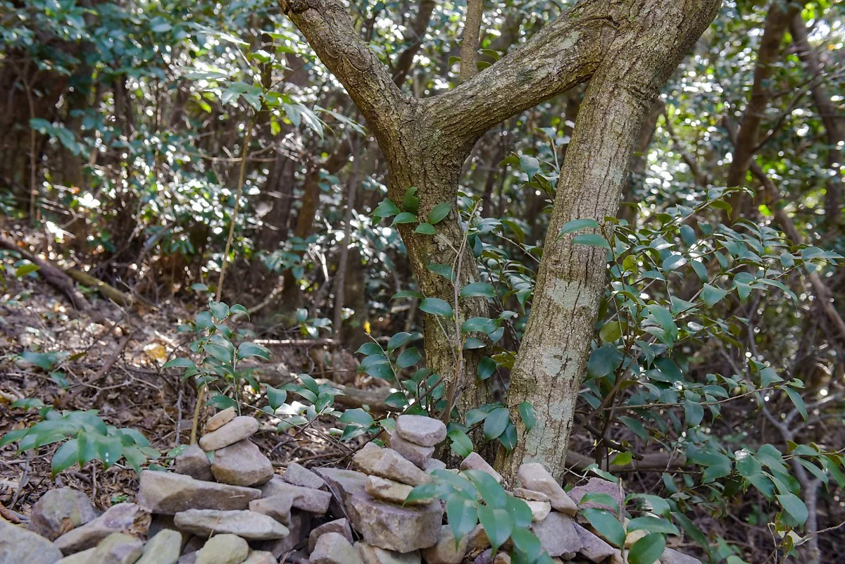 %ED%99%8D%EB%8F%84_%285%29%EC%97%B0%EC%9D%B8%EC%9D%98%EA%B8%B8_%EC%97%B0%EB%A6%AC%EC%A7%80.jpg?type=w1200