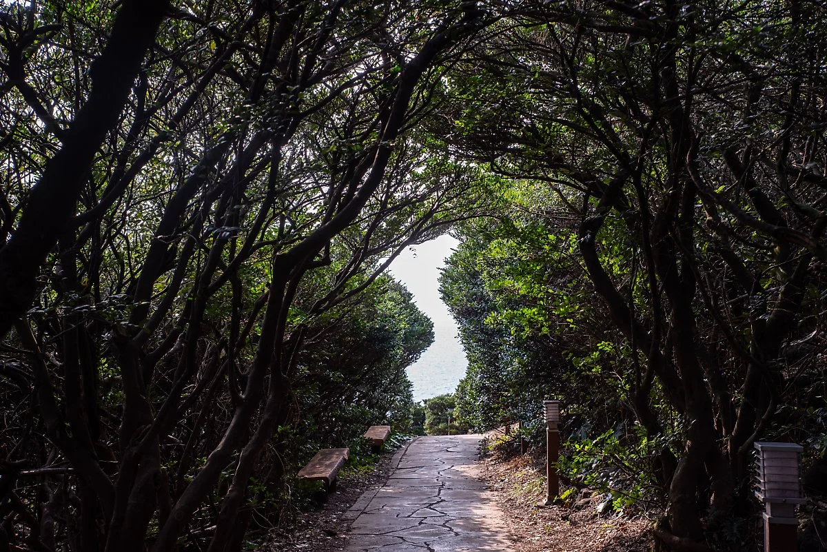 %ED%81%B0%EC%97%89%ED%95%B4%EC%95%88%EA%B2%BD%EC%8A%B9%EC%A7%80_001.jpg?type=w1200