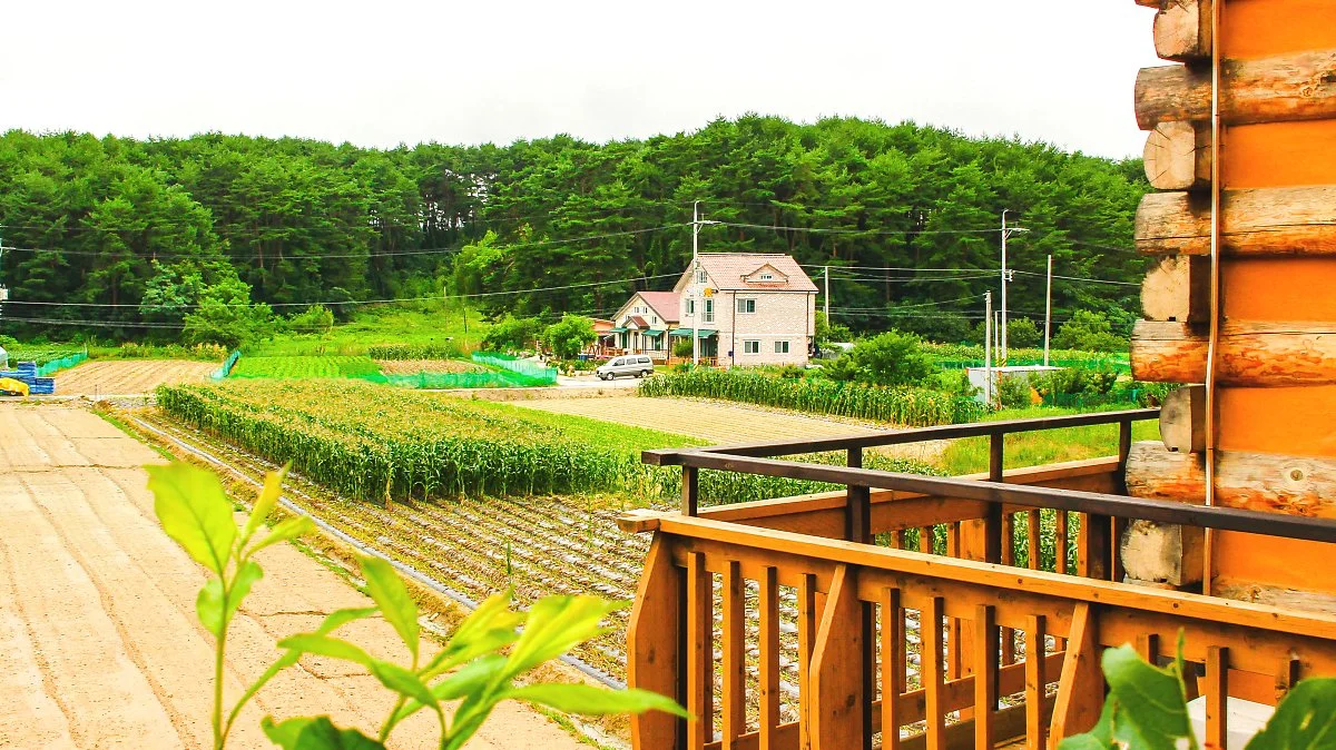 %ED%9C%B4%EC%8B%AC%ED%8C%AC%EC%85%98_%282%29.jpg?type=w1200