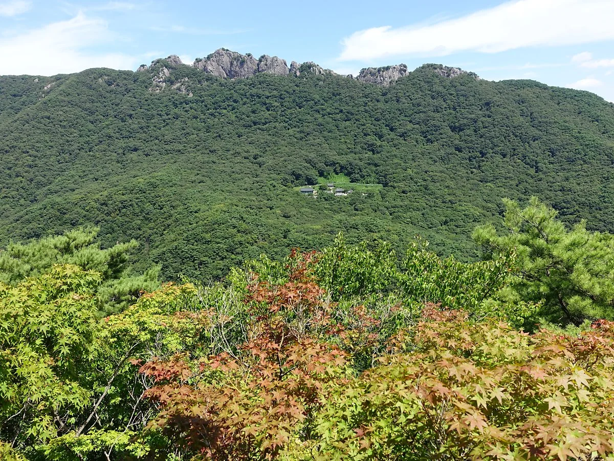 %EB%82%B4%EC%9E%A5%EC%82%B0%EC%BC%80%EC%9D%B4%EB%B8%94%EC%B9%B4201808%EA%B9%80%EC%84%A0%EC%A3%BC_%2866%29.JPG?type=w1200