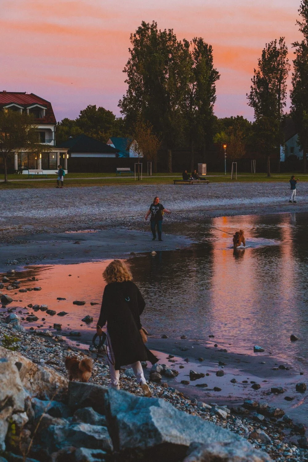 %EB%85%B8%EC%9D%B4%EC%8B%9C%EB%93%9C_%ED%98%B8%EC%88%98_%2811%29.jpg?type=w1200