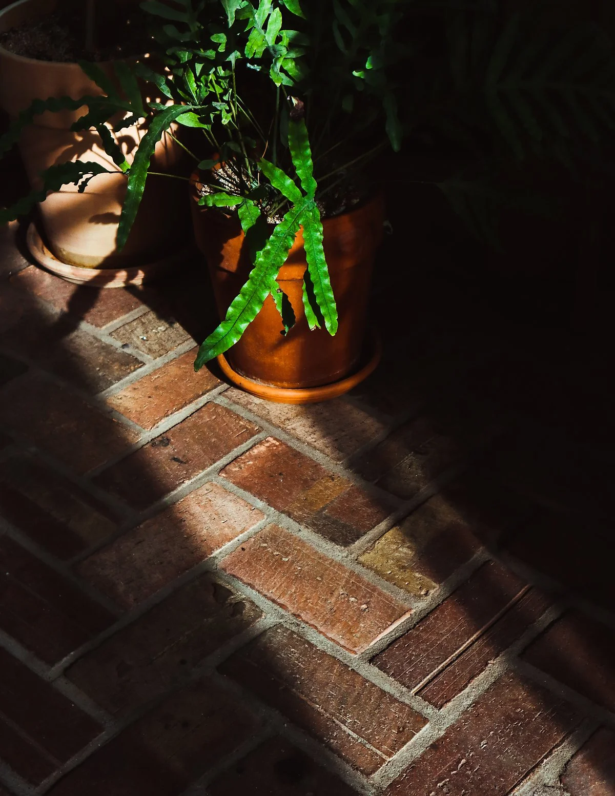 %EC%84%B1%EC%88%98_%EC%B2%9C%EC%83%81%EC%A0%95%EC%9B%90_-21.jpg?type=w1200