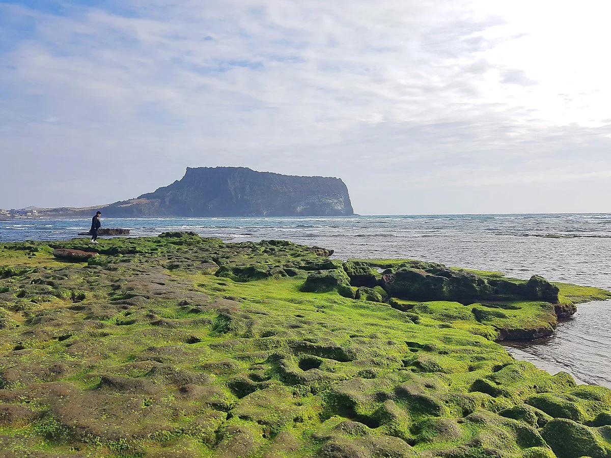 %EA%B4%91%EC%B9%98%EA%B8%B0%ED%95%B4%EB%B3%80.jpg?type=w1200