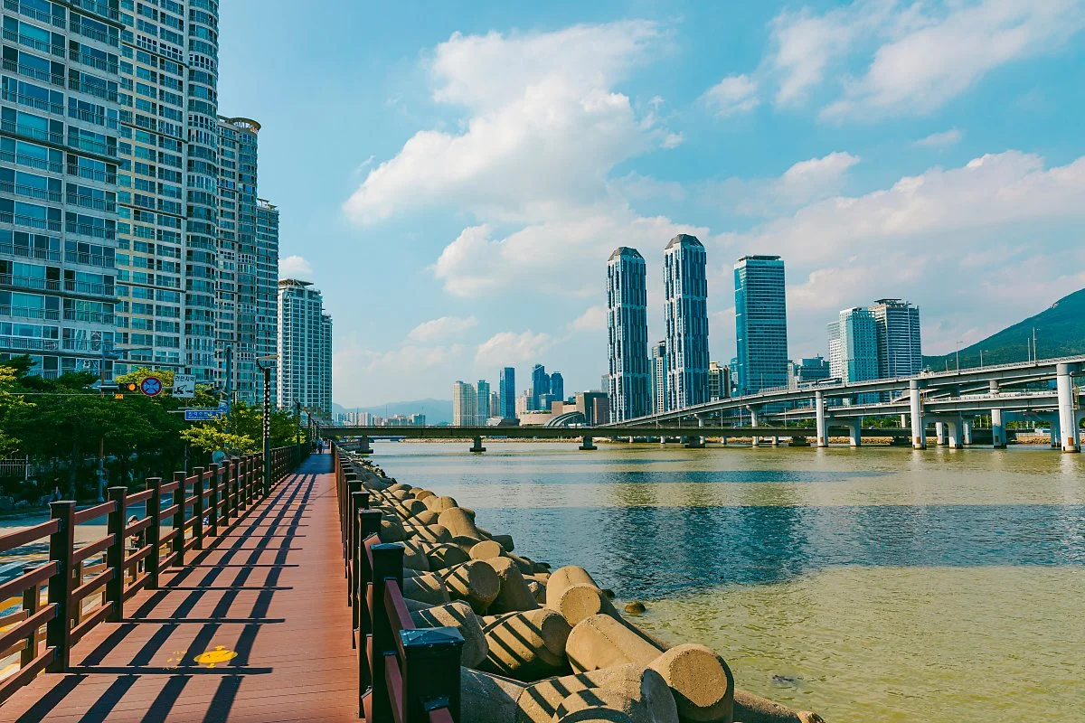 d_%EB%B6%80%EC%82%B0_%EC%88%98%EC%98%81%EA%B0%95_%EC%82%B0%EC%B1%85%EB%A1%9C.jpg?type=w1200