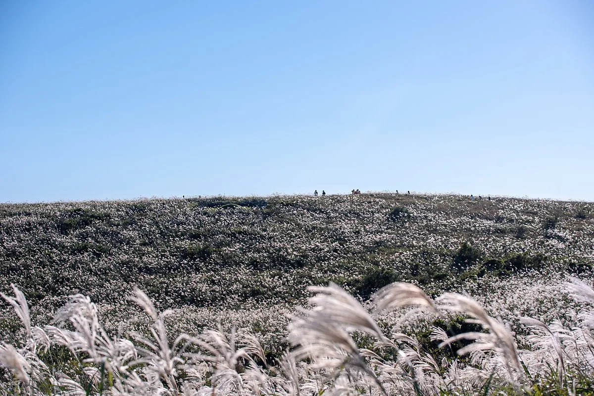 %EC%95%84%EB%81%88%EB%8B%A4%EB%9E%91%EC%89%AC_003.jpg?type=w1200