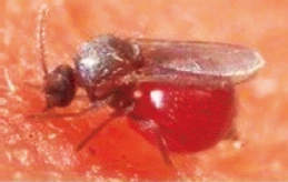 image.png?type=w1200