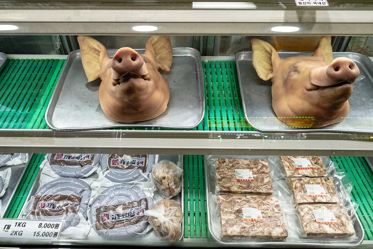 %EC%88%98%EC%9B%90_%EB%82%A8%EB%AC%B8%EC%8B%9C%EC%9E%A5_%287%29%EC%A7%80%EB%8F%99%EC%88%9C%EB%8C%80.jpg?type=w1200