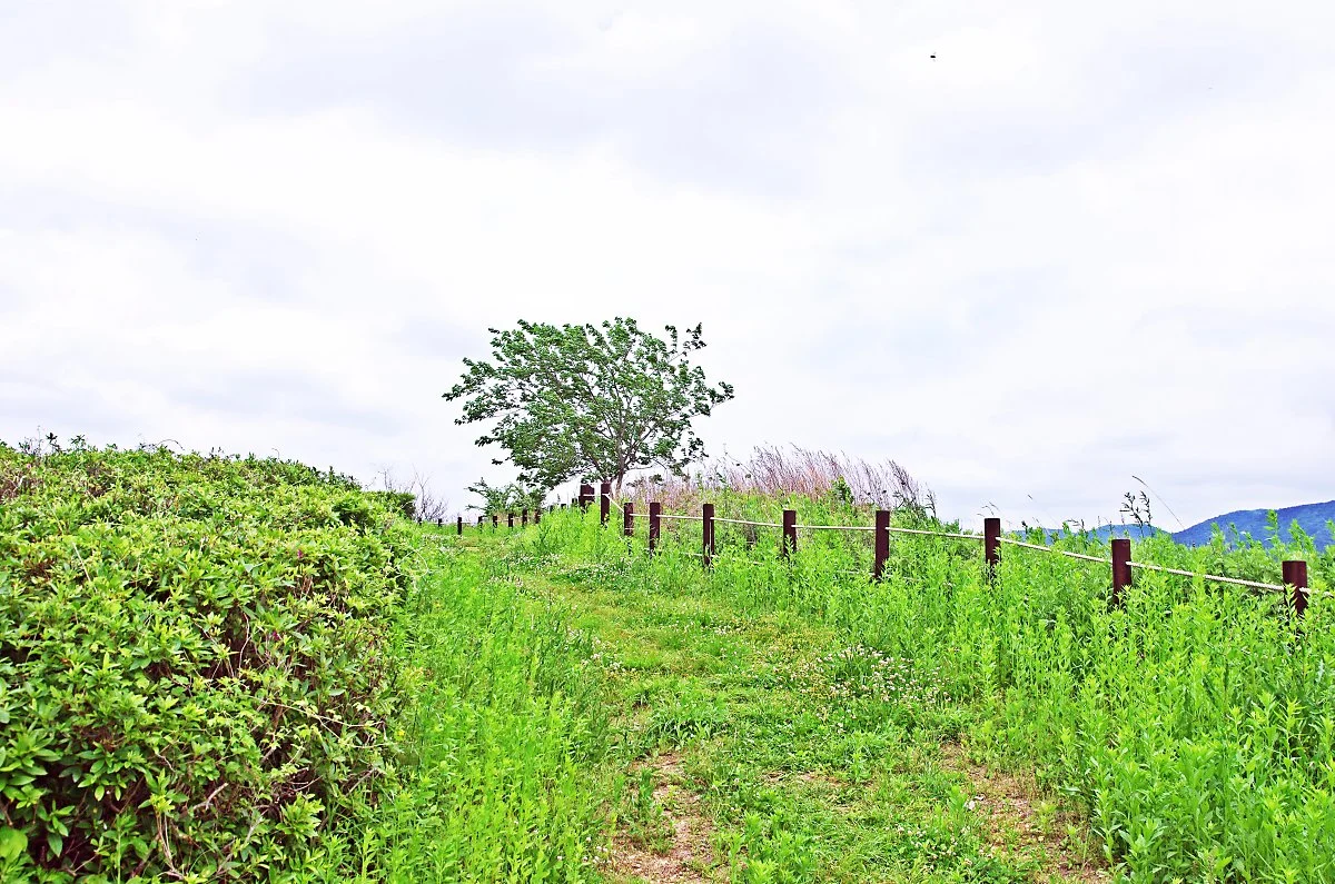 %EB%8F%99%EB%AC%B8_%ED%84%B0%EC%97%90%EC%84%9C_%EB%B6%81%EB%8F%99%EC%B9%98%EC%84%B1%EC%9C%BC%EB%A1%9C_%EA%B0%80%EB%8A%94_%EA%B8%B8.JPG?type=w1200