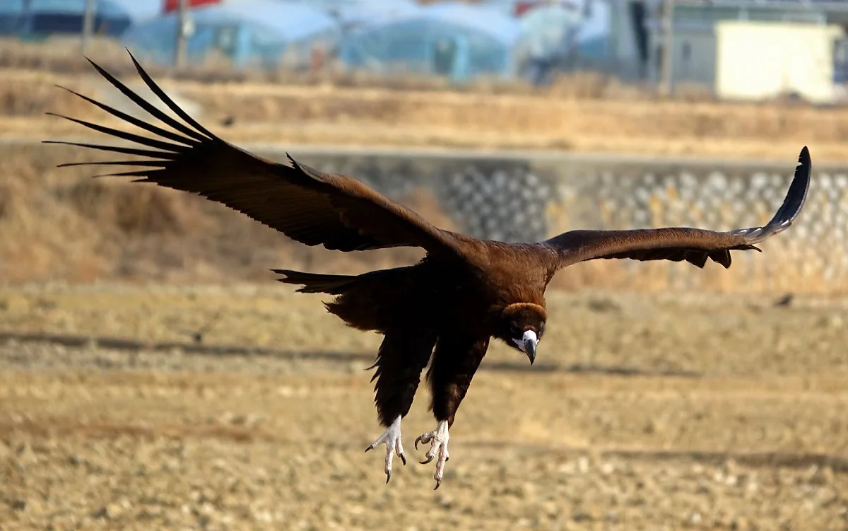 01_2021.1.28.%EB%8F%85%EC%88%98%EB%A6%AC_%EA%B3%A0%EC%84%B1%EA%B8%B0%EC%9B%94._%283%29.jpg?type=w1200