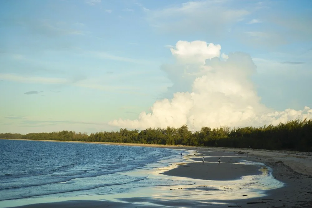 %ED%83%84%EC%A4%91_%EB%B0%94%ED%88%AC_%EB%B9%84%EC%B9%98_%282%29.jpg?type=w1200