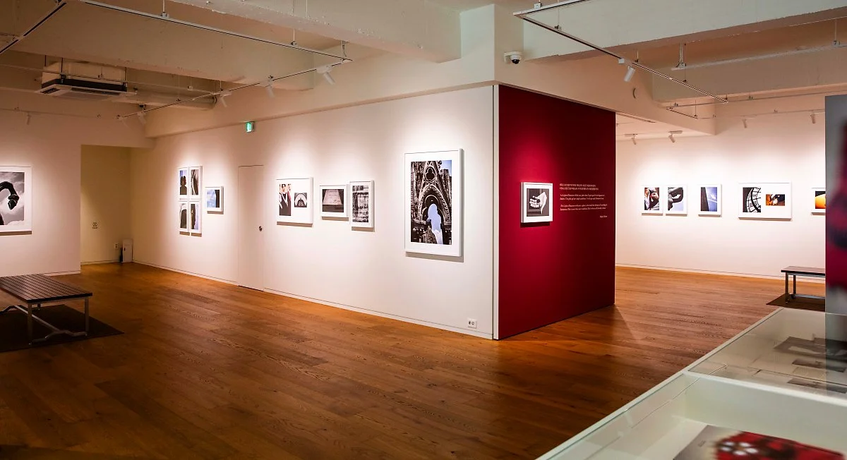 %EB%9E%84%ED%94%84_%EA%B9%81%EC%8A%A8_%EC%82%AC%EC%A7%84%EB%AF%B8%EC%88%A0%EA%B4%80_2.jpg?type=w1200