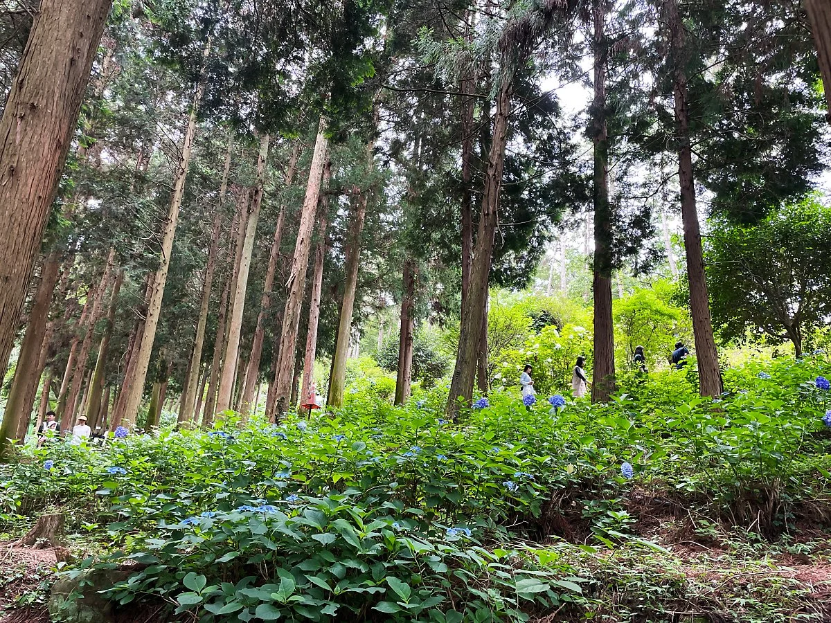 %EB%A7%8C%ED%99%94%EB%B0%A9%EC%B4%88_%281%29.JPG?type=w1200