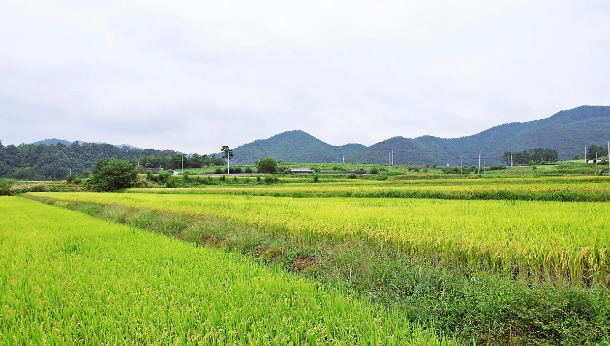 %EC%82%BC%EC%A7%80%EB%A6%AC_%EB%93%A4%EB%85%98.JPG?type=w1200