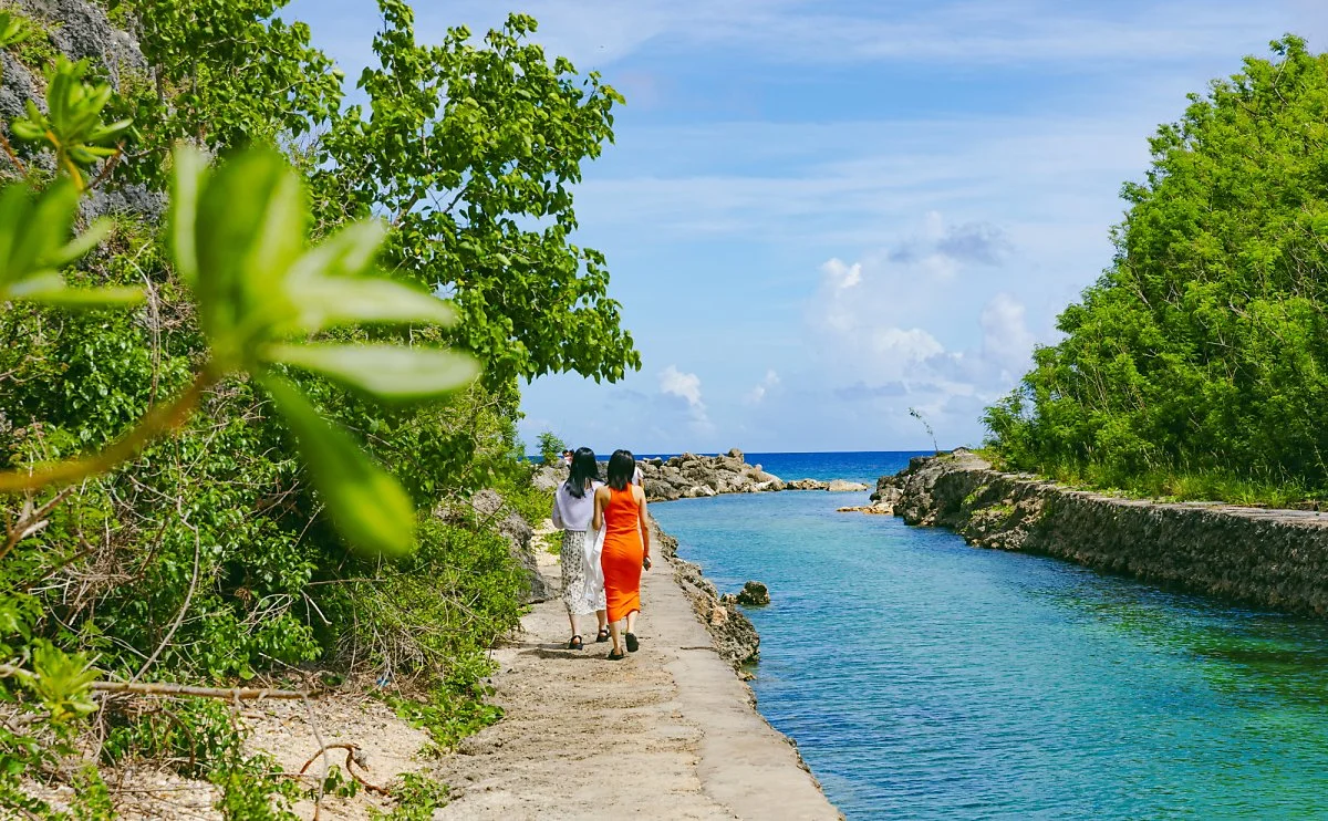 %EC%97%90%EB%A9%94%EB%9E%84%EB%93%9C%EB%B0%B8%EB%A6%AC_%282%29.jpg?type=w1200