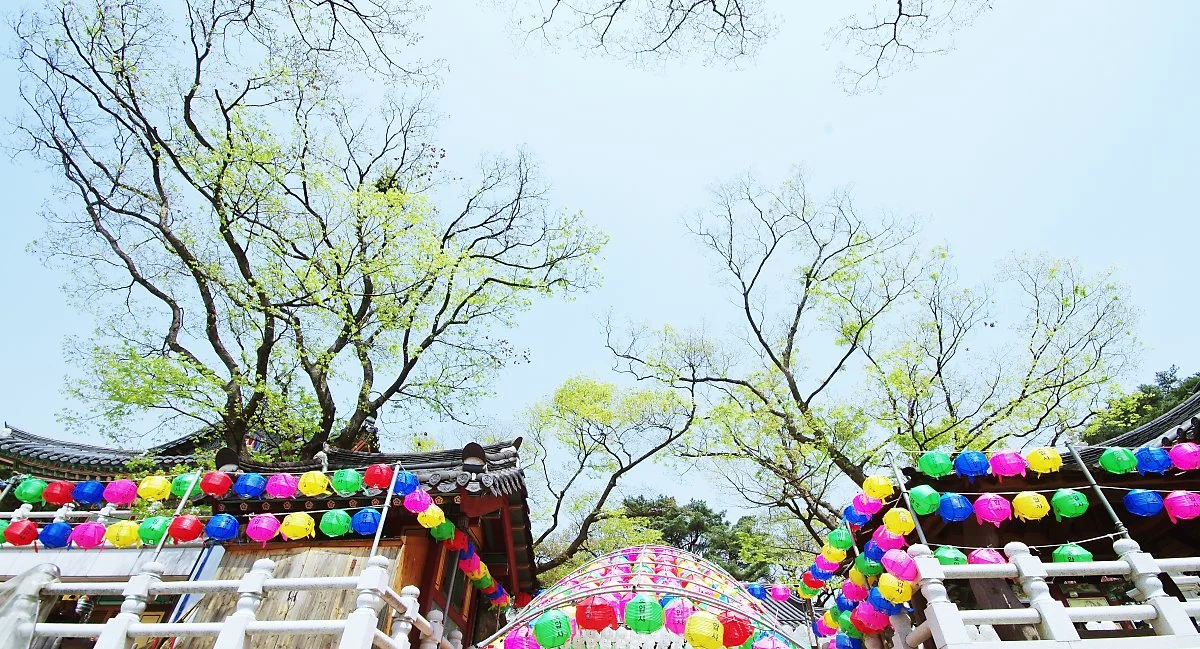 %ED%98%B8%EC%95%95%EC%82%AC._%EC%A0%88_%EB%A7%88%EB%8B%B9%EC%97%90%EC%84%9C_%EC%9E%90%EB%9E%80_500%EB%85%84_%EB%84%98%EC%9D%80_%EB%8A%90%ED%8B%B0%EB%82%98%EB%AC%B4%EC%97%90_%EC%97%B0%EB%91%A3%EB%B9%9B_%EB%AC%BC%EC%9D%B4_%EC%98%AC%EB%9E%90%EB%8B%A4..JPG?type=w1200