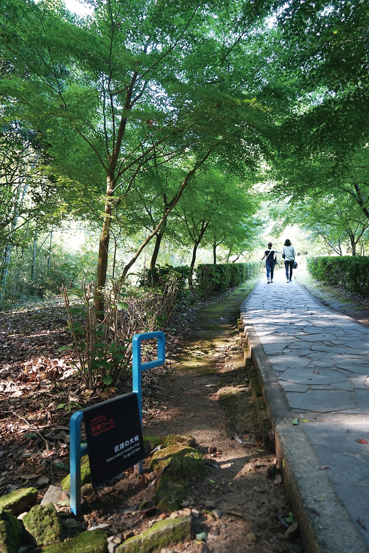 %EB%8B%A4%EC%BC%80%EC%98%A4_%EC%8B%A0%EC%82%AC_%EA%B6%8C%EB%9D%BC%ED%9D%ACDSC00817.JPG?type=w1200