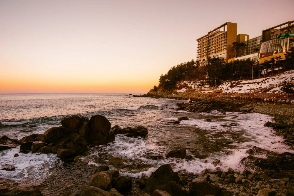 %EC%86%8D%EC%B4%88_%EB%A1%AF%EB%8D%B0%EB%A6%AC%EC%A1%B0%ED%8A%B8_%281%29.JPG?type=w1200