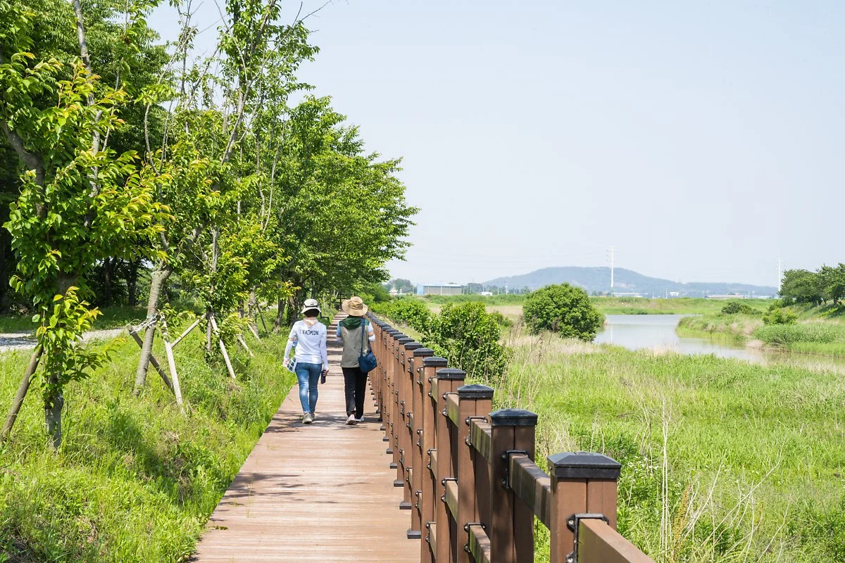 %EA%B9%80%EC%A0%9C%EB%B2%BD%EA%B3%A8%EC%A0%9C%EC%83%9D%ED%83%9C%EB%86%8D%EA%B2%BD%EC%9B%90_%2814%29.jpg?type=w1200