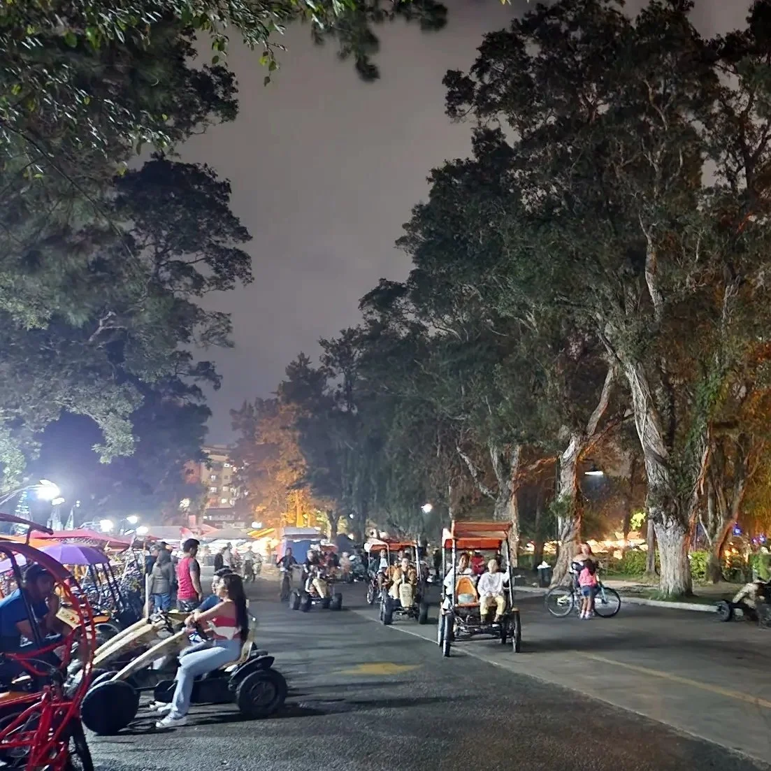 image_3831408971685603602749.jpg?type=w1200