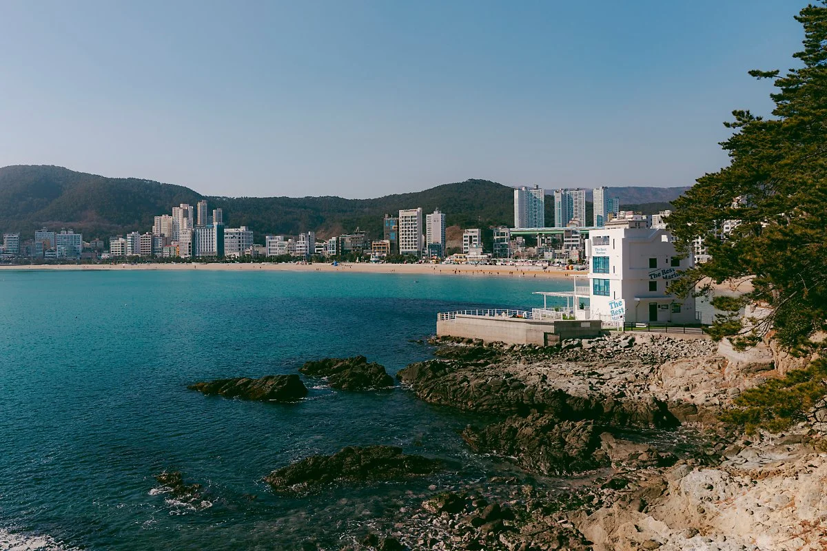 d_%EC%86%A1%EC%9D%BC%EC%A0%95_1.jpg?type=w1200