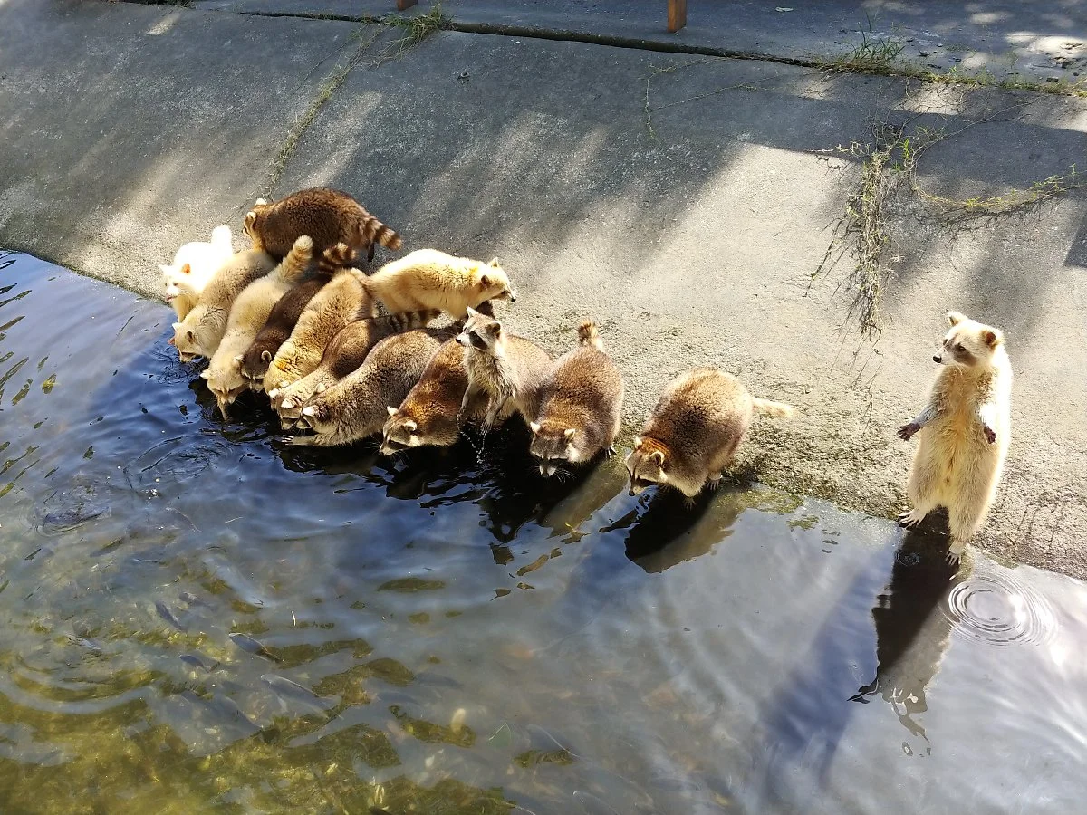 03%EC%8B%A0%EA%B4%91%EC%9E%90%EC%98%A4%ED%8E%91_%284%29.jpg?type=w1200