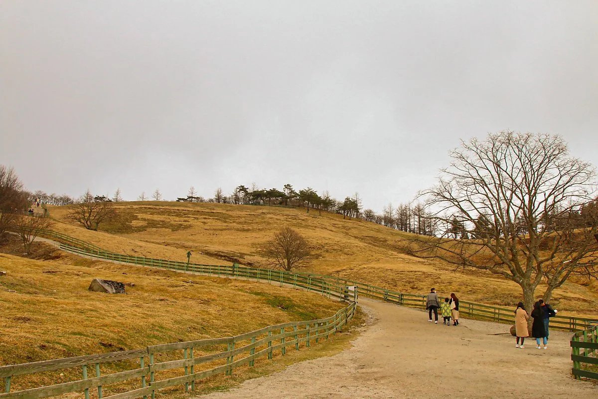 %EC%96%91%EB%96%BC%EB%AA%A9%EC%9E%A5_%288%29.jpg?type=w1200