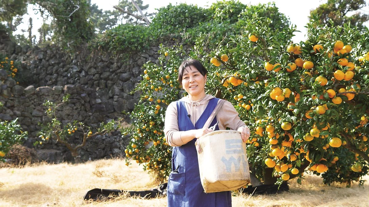 %ED%8F%AC%EB%A7%B7%EB%B3%80%ED%99%98%ED%95%98%ED%9A%A8%EB%A7%88%EC%9D%84_%282%29.jpg?type=w1200