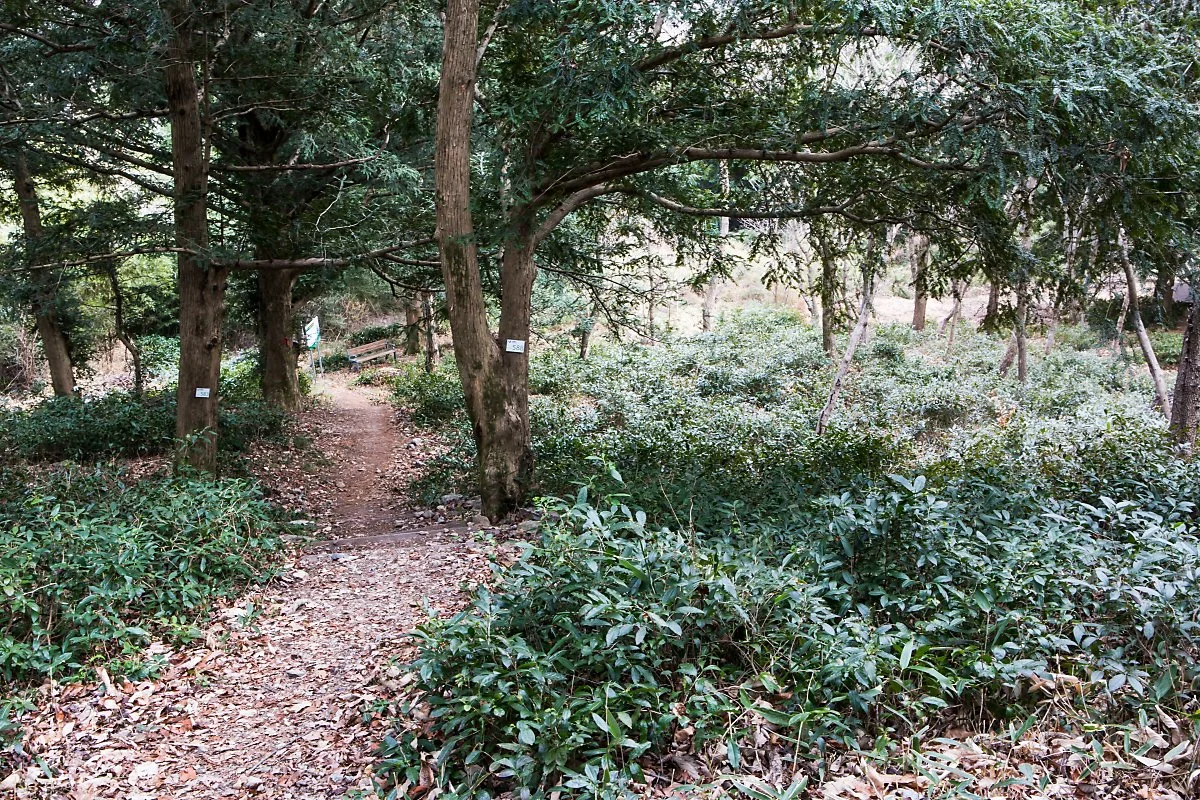 %EB%B3%B4%EB%A6%BC%EC%82%AC_%EA%B9%80%EB%8F%84%ED%98%95_%282%29.JPG?type=w1200