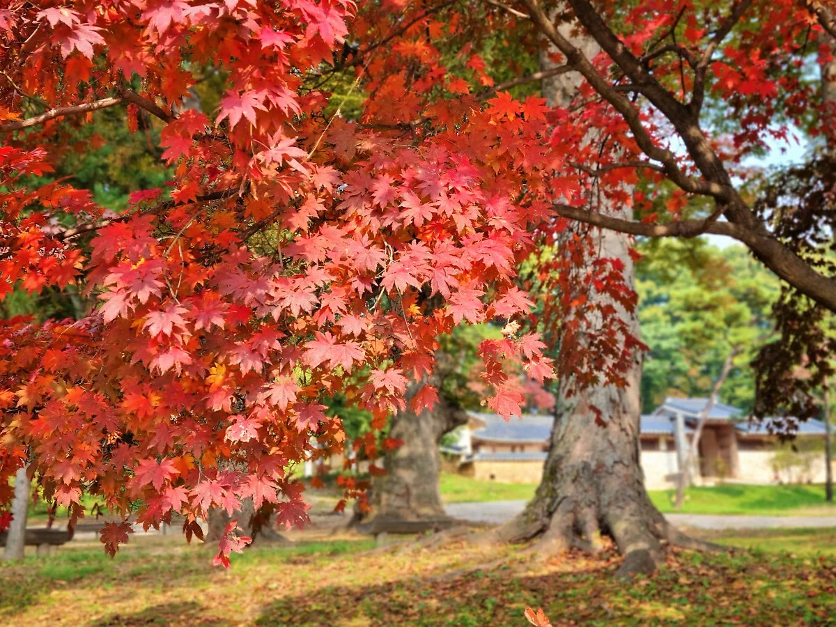 02%ED%8C%8C%EC%A3%BC%EC%9E%A5%EB%A6%89_%285%29.jpg?type=w1200