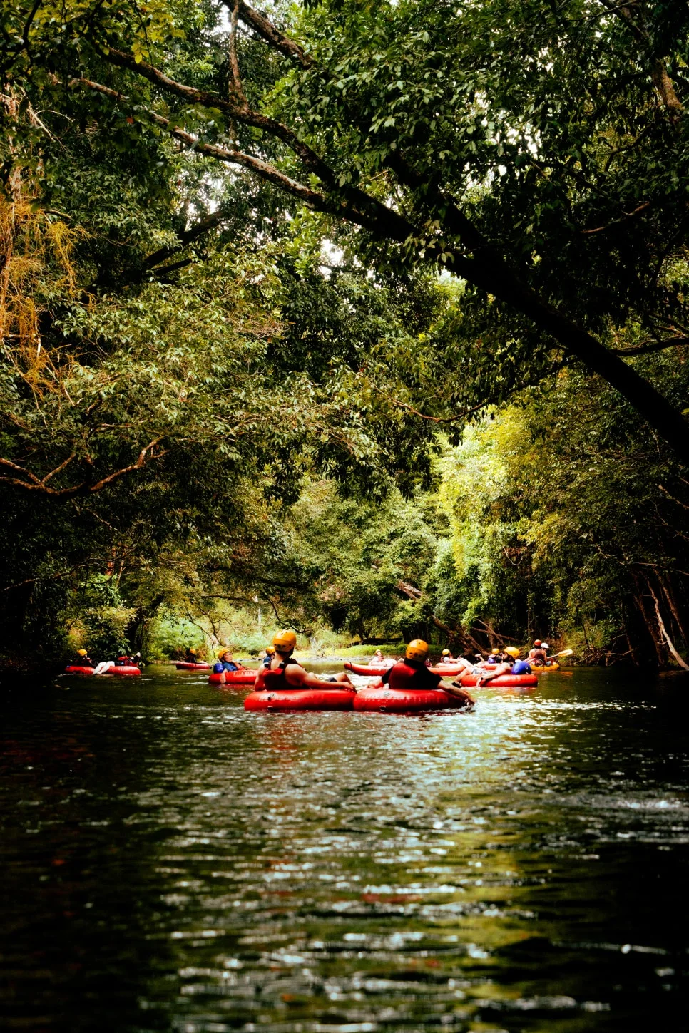 %ED%8A%9C%EB%B9%99.jpg?type=w966