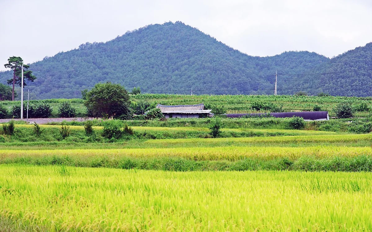 %EC%82%BC%EC%A7%80%EB%A6%AC_%ED%92%8D%EA%B2%BD.JPG?type=w1200